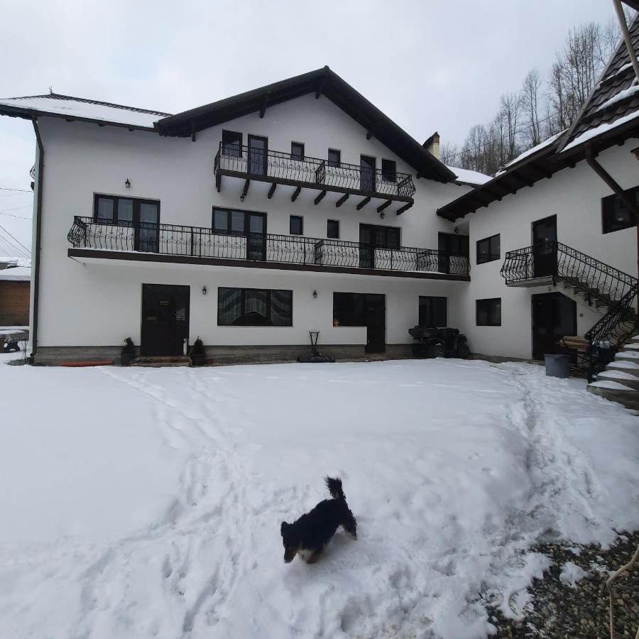 Casa Dana Olteanu Hotel Moeciu De Sus Eksteriør billede