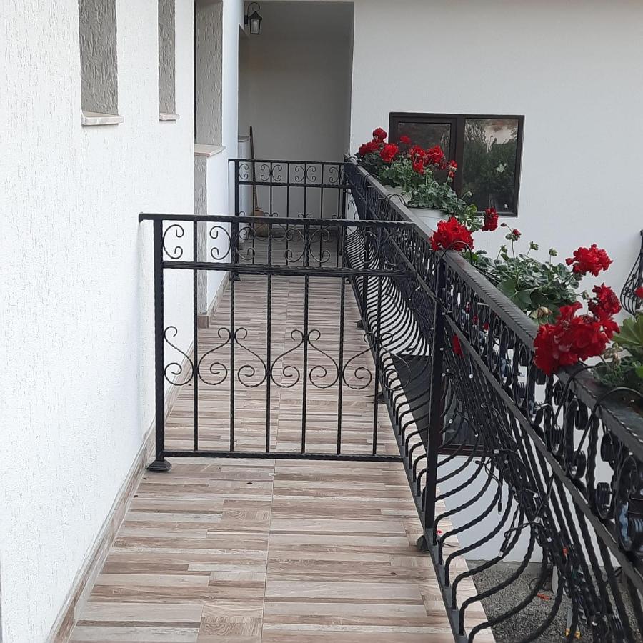 Casa Dana Olteanu Hotel Moeciu De Sus Eksteriør billede