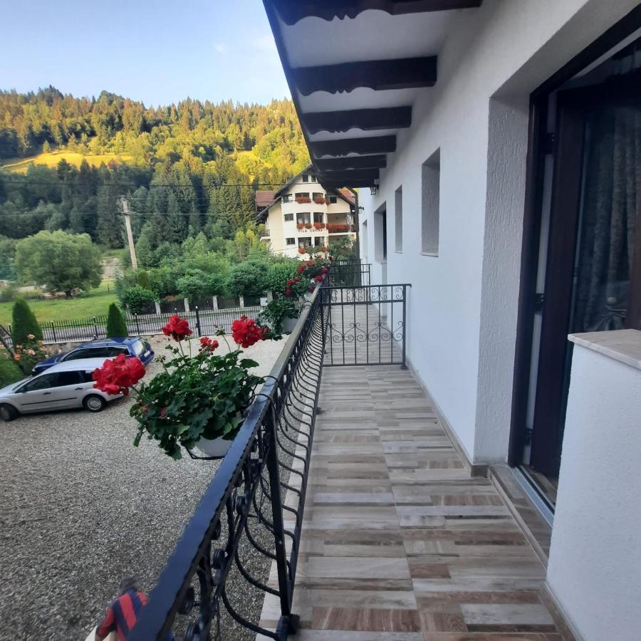 Casa Dana Olteanu Hotel Moeciu De Sus Eksteriør billede