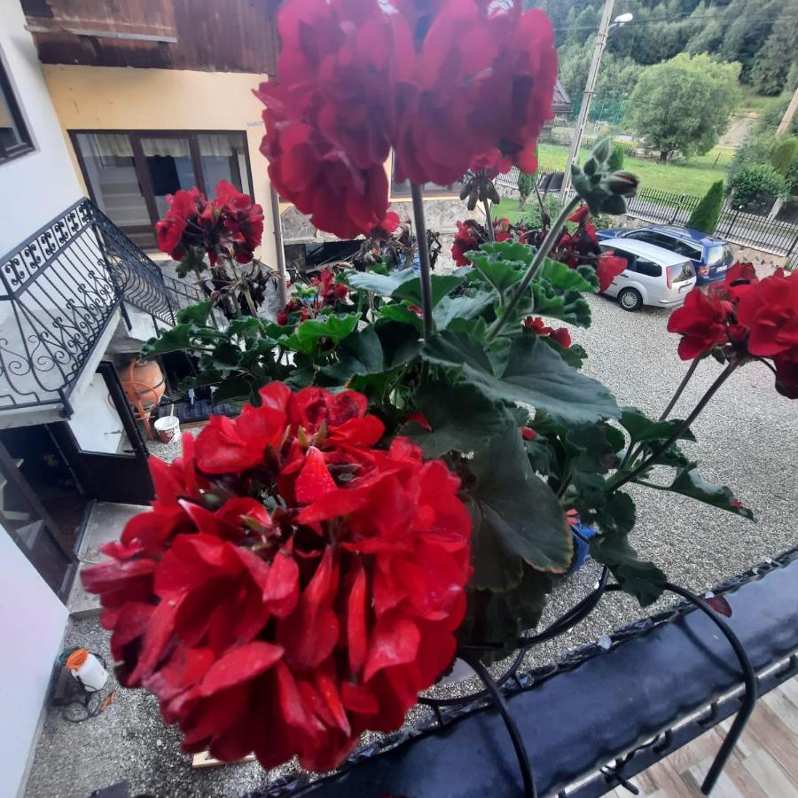 Casa Dana Olteanu Hotel Moeciu De Sus Eksteriør billede