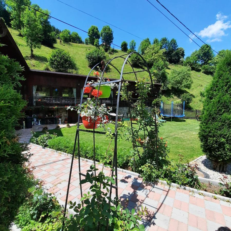 Casa Dana Olteanu Hotel Moeciu De Sus Eksteriør billede